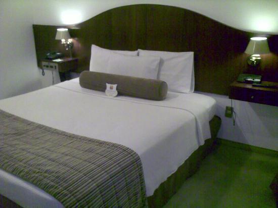 Hotel Anaca Sao Carlos Εξωτερικό φωτογραφία